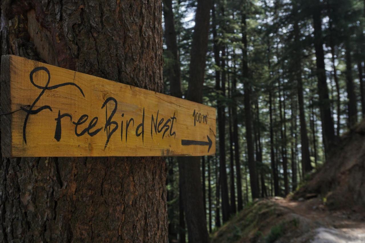 מלון Freebird Nest Jibhi מראה חיצוני תמונה